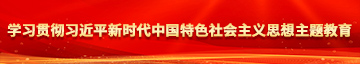 插屄视频在线免费观看学习贯彻习近平新时代中国特色社会主义思想主题教育